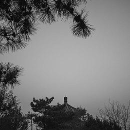 《模拟农场22》全球销量超过300万套